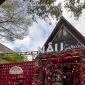 Mặt Bằng Vị Trí Đắc Địa Giá Tốt Cần Sang Nhanh Mặt Bằng 51 Cao Thắng, P Tân An , Buôn Ma Thuột